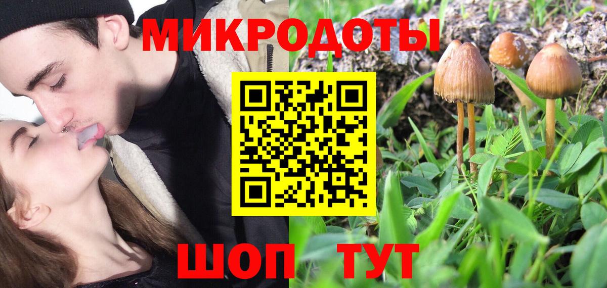 Юрга  Псилоцибиновые грибы Magic Shrooms  Вход с VPN 